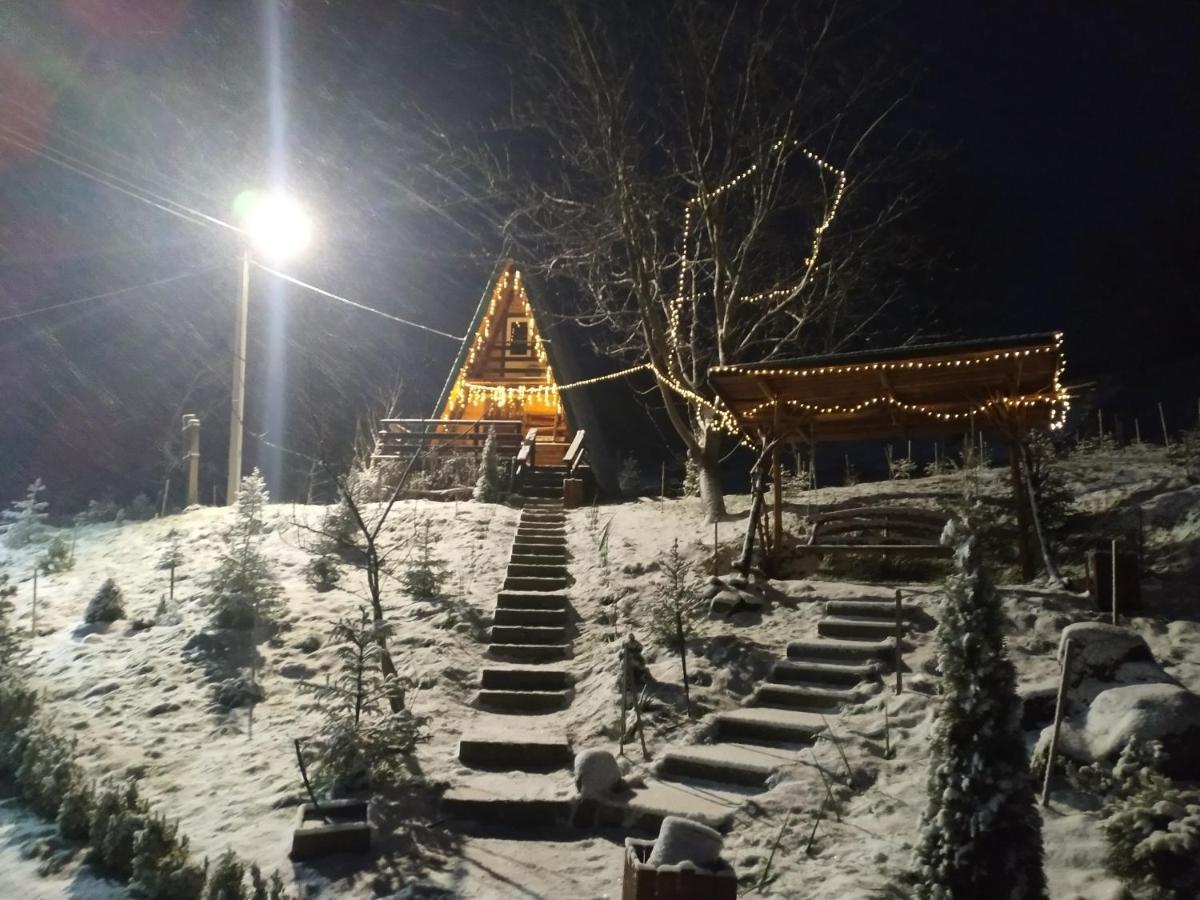 Zelenaya Usad'Ba Stavbor Zavadivka 외부 사진